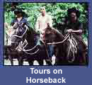 Passeios a Cavalo