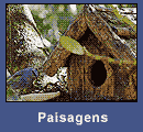 Paisagens